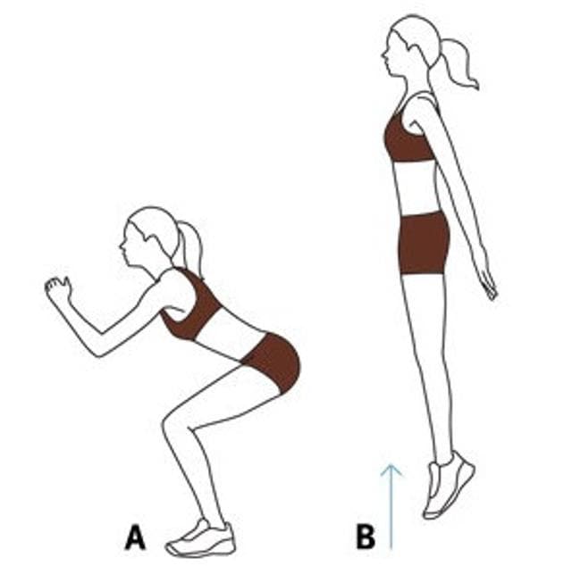 Squat jumps Squat jumps