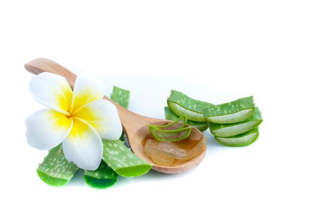 Sliced Aloe Vera. (Shutterstock) Sliced Aloe Vera. (Shutterstock)