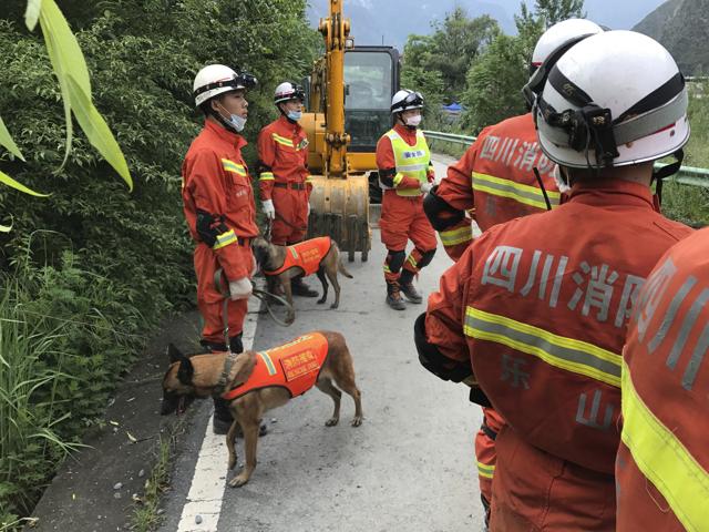 Rescuers with search dogs and earthmoving equipment at the site of a landslide in Xinmo village in Maoxian county in southwestern China's Sichuan province. (AP)