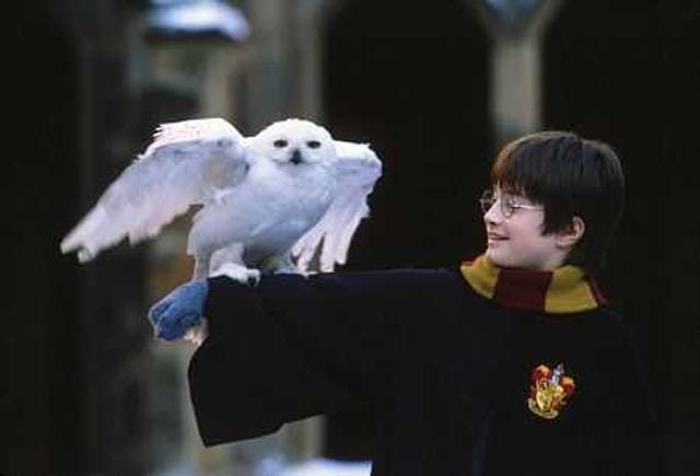 A still from the film adaptation of Harry Potter and the Philosopher’s Stone. A still from the film adaptation of Harry Potter and the Philosopher’s Stone.