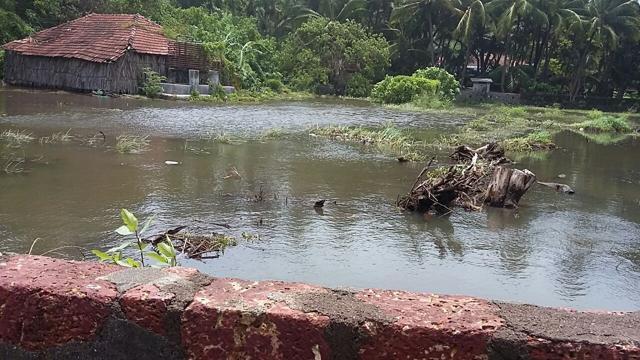 The amount of rain is almost half the village’s annual average rain since June 1 and twice its monthly average for June. (HT) The amount of rain is almost half the village’s annual average rain since June 1 and twice its monthly average for June. (HT)
