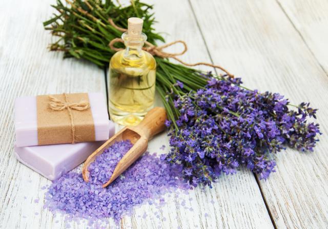 Lavender’s antibacterial properties soothe skin irritation and help with itchy skin. (Shutterstock ) Lavender’s antibacterial properties soothe skin irritation and help with itchy skin. (Shutterstock )