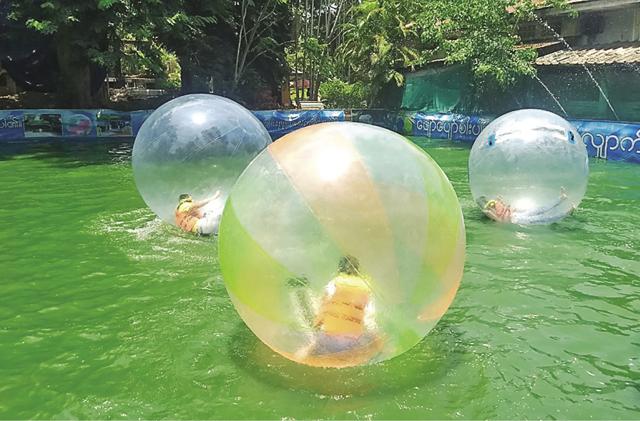 A visit to the water ball park at the Yangon Zoo is a fun day activity (Yamini Nair) A visit to the water ball park at the Yangon Zoo is a fun day activity (Yamini Nair)