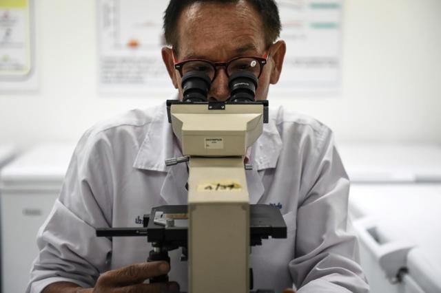 The research team said the findings may lead to diagnostic and therapeutic strategies to deal with cancer spread. (Lillian Suwanrumpha/AFP) The research team said the findings may lead to diagnostic and therapeutic strategies to deal with cancer spread. (Lillian Suwanrumpha/AFP)