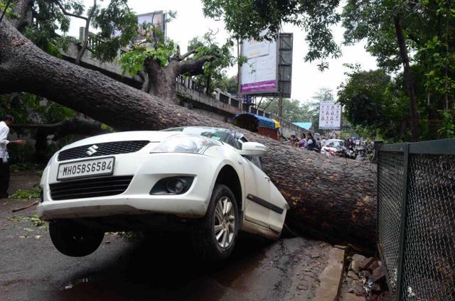 No one was reported hurt after a tree fell on a car in Kalyan last night. (HT Photo)