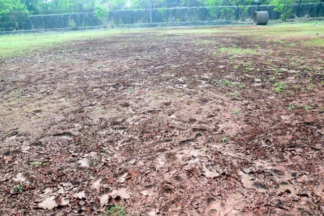 A hockey ground at a stadium in Pune. (HT PHOTO) A hockey ground at a stadium in Pune. (HT PHOTO)