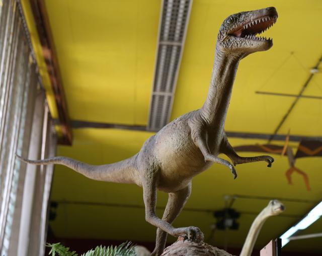 A model of a dinosaur at Natural History Museum. (Sanjeev Sharma/HT Photo)