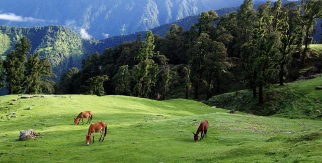 Chopta encounters heavy landslides in the monsoon. (Shutterstock) Chopta encounters heavy landslides in the monsoon. (Shutterstock)