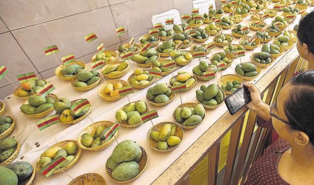 The festival is on till July 2. (Raj K Raj/HT PHOTO) The festival is on till July 2. (Raj K Raj/HT PHOTO)