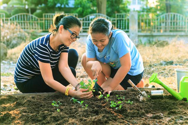Constant de-weeding is one of the most important activity of this season. (Shutterstock) Constant de-weeding is one of the most important activity of this season. (Shutterstock)