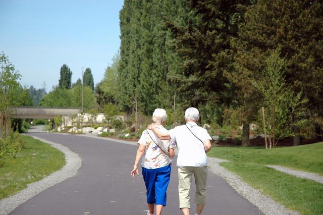 The study found that dementia could be treated earlier if doctors regularly measure the walking speeds of older patients and looked for changes over time. (Shutterstock )
