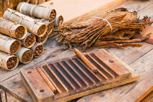 In the case of tobacco, inefficient metabolism of nitrogen by the plant can lead to high concentrations of some toxins in the smoke. (Shutterstock) In the case of tobacco, inefficient metabolism of nitrogen by the plant can lead to high concentrations of some toxins in the smoke. (Shutterstock)