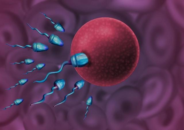 In IVF treatments, men’s age is also important. (Shutterstock) In IVF treatments, men’s age is also important. (Shutterstock)