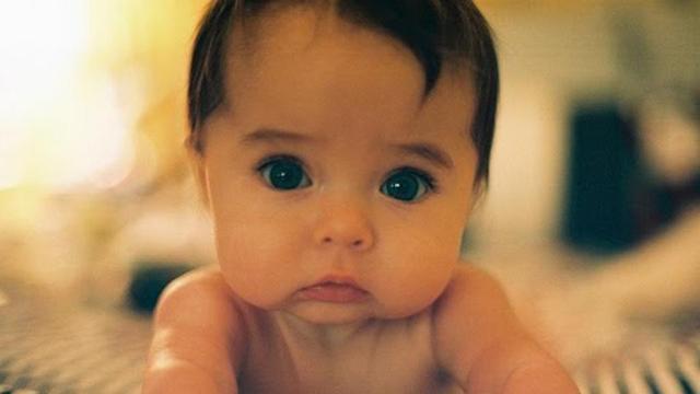 The study found that alcohol consumption during pregnancy can cause abnormalities in the brain and behaviour of the newborn and may also pass on to generations.