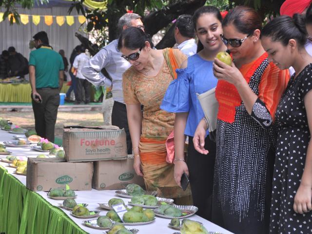 Over 3,000 different mango varieties are likely to be showcased at this annual affair that attracts mango lovers from across the region. (Sant Arora/HT Photo)