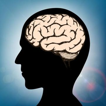 The results potentially provide a new conceptual framework for understanding brain inflammation and its relationship to brain cell loss and neurological deficits after head injury (Shutterstock) The results potentially provide a new conceptual framework for understanding brain inflammation and its relationship to brain cell loss and neurological deficits after head injury (Shutterstock)