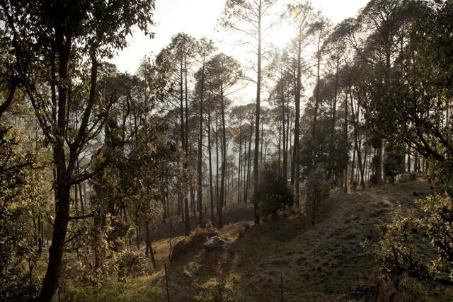 A view from a balcony at the India headquarters of Wyoming-based National Outdoor Leadership School in Ranikhet, Uttarakhand. In 2011, Minnesota resident, Thomas Plotkin, was enrolled in the Semester in India program through the school when he fell off a hiking trail, never to be seen again. According to his mother, Plotkin loved this view and spent a lot of time gazing out from this balcony. (Rishabh R. Jain / AP) A view from a balcony at the India headquarters of Wyoming-based National Outdoor Leadership School in Ranikhet, Uttarakhand. In 2011, Minnesota resident, Thomas Plotkin, was enrolled in the Semester in India program through the school when he fell off a hiking trail, never to be seen again. According to his mother, Plotkin loved this view and spent a lot of time gazing out from this balcony. (Rishabh R. Jain / AP)