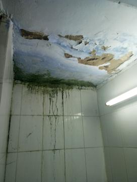 Leaking roofs are common in the washrooms of boys’ hostel number 3. (HT Photo) Leaking roofs are common in the washrooms of boys’ hostel number 3. (HT Photo)