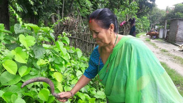 Rita Gazmer (67), a homemaker at Sukma, says the current bandh is different from the earlier ones because common people are not even being allowed to shop for essential commodities. In the past , people were at least given some window at regular intervals to buy groceries etc. she says. (HT Photo)
