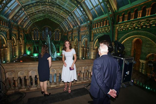 Kate Middleton, the Duchess of Cambridge (in white), and David Attenborough (in blue) are shown the blue whale skeleton by museum director Sir Michael Dixon during the reopening of Hintze Hall at the Natural History Museum in London on July 13, 2017. (Yui Mok/AFP)