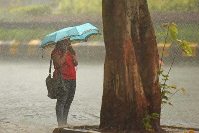 A woman takes shelter under a tree as the roads around her get waterlogged. (Satyabrata Tripathy/HT Photo)