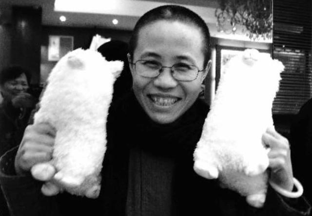 Picture taken on April 1, 2010, when Ai interviewed Liu Xia. Ai said: “I brought Liu Xia these two Alpacas — one for her, the other for Liu Xiaobo. The Alpaca is used as a metaphor in China — It is a popular way to show a challenging gesture. If you say it aloud, it sounds similar to a swear word.” (Ai Xiaoming )