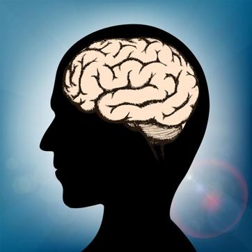 Each stressful experience was equivalent to about four years of cognitive ageing. (Shutterstock)