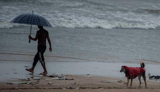 Like this man, the dog too is rain-ready. (Satish Bate/HT) Like this man, the dog too is rain-ready. (Satish Bate/HT)
