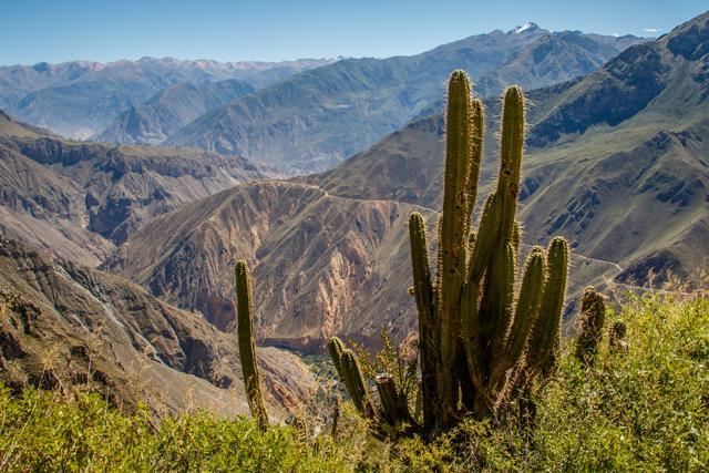 Colca Canyon is one of the deepest canyons at 4,160m. (Shutterstock) Colca Canyon is one of the deepest canyons at 4,160m. (Shutterstock)