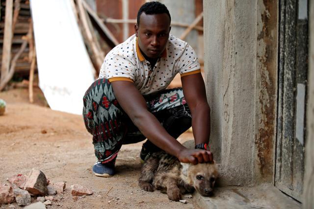 Abbas Yusuf plays with a hyena cub near his house in Harar, Ethiopia. Abbas has given the hyenas names according to their behavior and appearance. Among them are ‘Dabbassoo’ or ‘Hairy’, ‘Tuqan Dilii’ or ‘Lazy’, and ‘Qallaa’, meaning ‘skinny’. (Tiksa Negeri / REUTERS) Abbas Yusuf plays with a hyena cub near his house in Harar, Ethiopia. Abbas has given the hyenas names according to their behavior and appearance. Among them are ‘Dabbassoo’ or ‘Hairy’, ‘Tuqan Dilii’ or ‘Lazy’, and ‘Qallaa’, meaning ‘skinny’. (Tiksa Negeri / REUTERS)