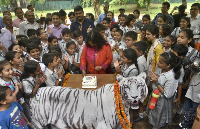 A cake was cut near the enclosure of the tiger. (Sushil Kumar/HT PHOTO) A cake was cut near the enclosure of the tiger. (Sushil Kumar/HT PHOTO)
