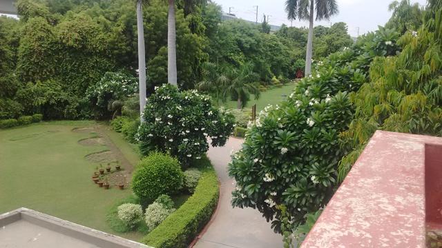 Trees, manicured lawns add to the beauty of this campus. (Sourced) Trees, manicured lawns add to the beauty of this campus. (Sourced)