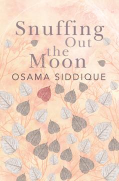 Book cover, Snuffing Out The Moon.