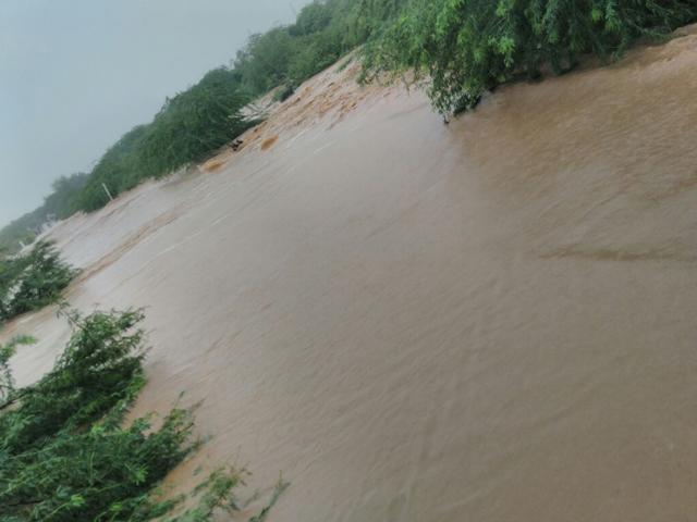 Rajasthan’s Minister of Disaster Management and Relief Gulab Chand Kataria said the situation in Jalore, Pali and Sirohi districts was “critical”. (HT Photo) Rajasthan’s Minister of Disaster Management and Relief Gulab Chand Kataria said the situation in Jalore, Pali and Sirohi districts was “critical”. (HT Photo)