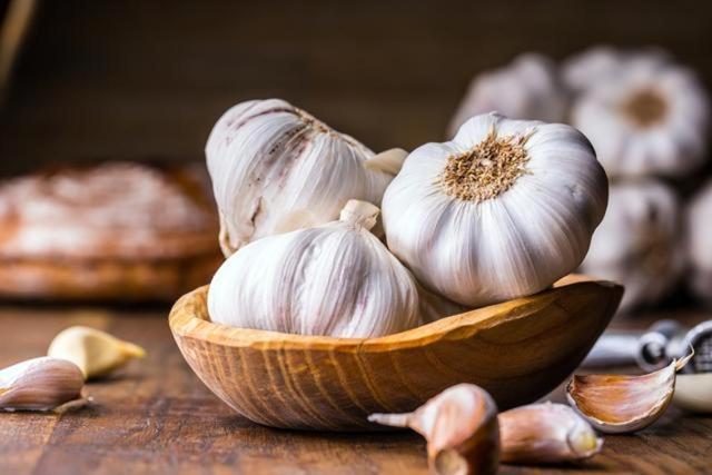 Garlic helps in relieving stubborn coughs and clearing mucus that blocks the lungs. (Shutterstock) Garlic helps in relieving stubborn coughs and clearing mucus that blocks the lungs. (Shutterstock)
