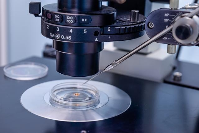 An In Vitro Fertilisation Microscope. (Shutterstock)