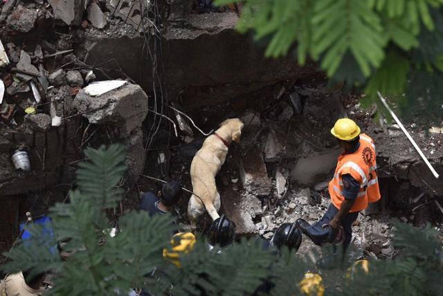 Sniffer dogs at the spot. (SATISH BATE/HT) Sniffer dogs at the spot. (SATISH BATE/HT)