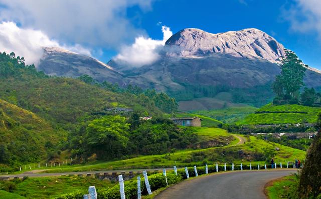 With silvery mist and incredibly vast tea gardens, Munnar is the paradise within God’s own country. (Wikimedia Commons ) With silvery mist and incredibly vast tea gardens, Munnar is the paradise within God’s own country. (Wikimedia Commons )