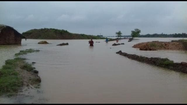 Flooded paddy fields at Kandi in Murshidabad district in West Bengal. (HT Photo) Flooded paddy fields at Kandi in Murshidabad district in West Bengal. (HT Photo)