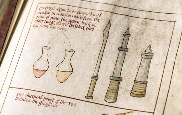 Illustrations from the book that Sam read to treat Jorah’s Greyscale. Illustrations from the book that Sam read to treat Jorah’s Greyscale.
