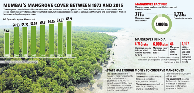 Mumbais Mangrove Cover Up By In Years Reveals Study Mumbai News Hindustan Times