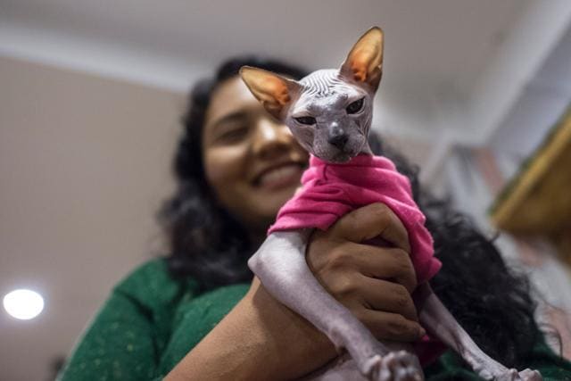 A woman holds a furless cat at the Catpuchino Cafe. (AFP)