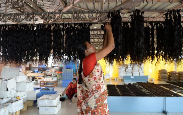 The collected hair is then auctioned to hair processing firms that treat the raw hair and prepare it for international export. (Arun Sankar / AFP) The collected hair is then auctioned to hair processing firms that treat the raw hair and prepare it for international export. (Arun Sankar / AFP)