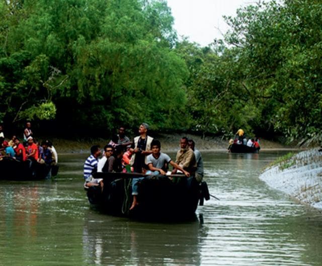 Tourists around teh mangroves in Andaman and Nicobar Islands. (HT FILE) Tourists around teh mangroves in Andaman and Nicobar Islands. (HT FILE)