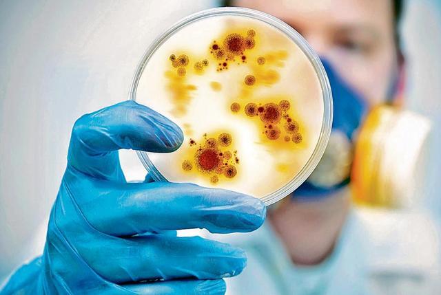 The virus is known to remain in the blood and saliva of infected people for about two weeks, but can remain in breast milk and semen for months. (Istock) The virus is known to remain in the blood and saliva of infected people for about two weeks, but can remain in breast milk and semen for months. (Istock)
