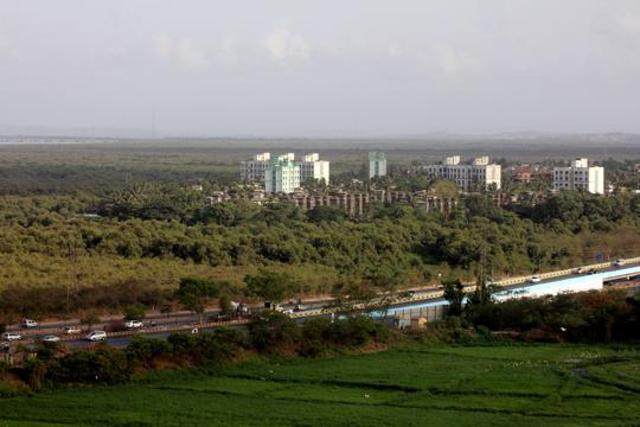 Mangroves in Vikhroli. (HT File)