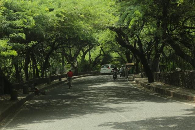 The scenic routes of the Kamla Nehru Ridge. (Manoj Verma/ HT Photo)