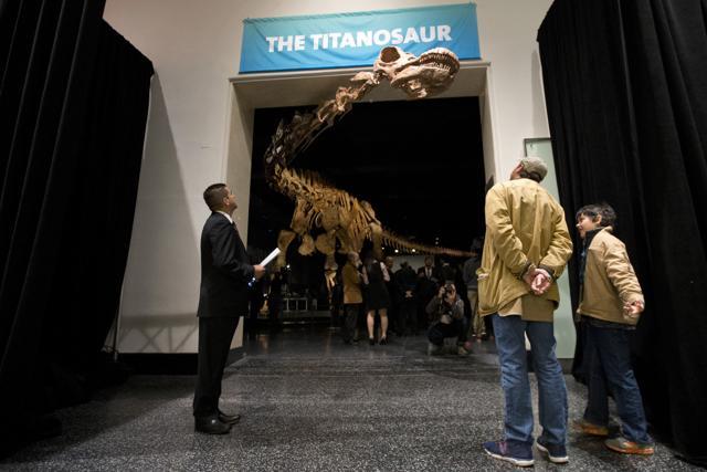 This file photo shows visitors to the American Museum of Natural History examining a replica of a 122-foot-long dinosaur on display at the American Museum of Natural History in New York. (AP File Photo) This file photo shows visitors to the American Museum of Natural History examining a replica of a 122-foot-long dinosaur on display at the American Museum of Natural History in New York. (AP File Photo)