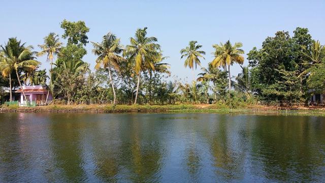Waterways are the means of transportation in Alleppey. (Shutterstock)