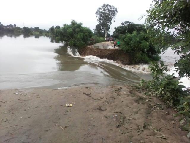 The Mahananda embankment that was breached near Minapur in Purnia district. (HT photo) The Mahananda embankment that was breached near Minapur in Purnia district. (HT photo)